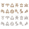 2 Sets 2 Colors Zinc Alloy Pendants ALRI-FW0001-02-2