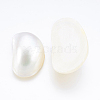 Natural White Shell Mother of Pearl Shell Cabochons SSHEL-P014-01B-2