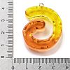 Resin Pendant FIND-Q107-01G-01-3