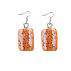 Resin Food Model Dangle Earrings PW-WGD1124-12-1