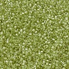 MIYUKI Delica Beads X-SEED-J020-DB0910-3