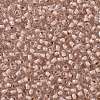 TOHO Round Seed Beads SEED-JPTR11-1069-2