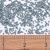 MIYUKI Delica Beads X-SEED-J020-DB1172-4