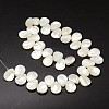 Natural Trochid Shell/Trochus Shell Beads Strands SSHEL-K009-08-2