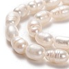 Natural Cultured Freshwater Pearl Beads Strands PEAR-L033-68-2