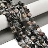 Natural Black Netstone Beads Strands G-P497-01E-73-2