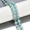 Natural Amazonite Beads Strands G-G182-B34-03-2