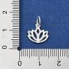925 Sterling Silver Charms STER-M119-10S-3