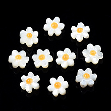 Natural White Shell Enamel Beads SSHEL-N034-125B-01