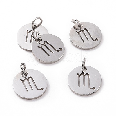 Non-Tarnish 304 Stainless Steel Charms STAS-Q201-T445-8S-1