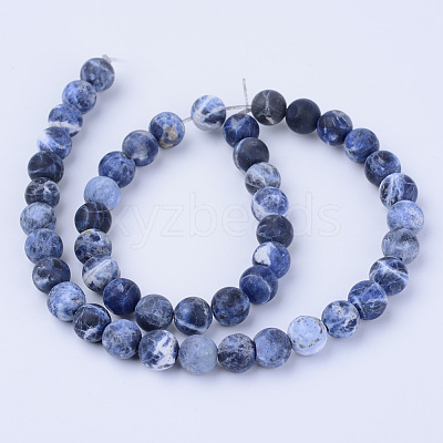 Natural Sodalite Beads Strands G-Q462-8mm-07-1