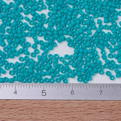 MIYUKI Delica Beads X-SEED-J020-DB0793-1