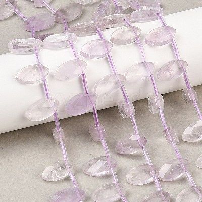 Natural Amethyst Beads Strands G-P607-A05-01-1