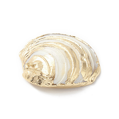 Natural Sea Shell Pendants X-SHEL-F005-06LG-1