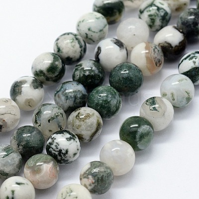 Natural Tree Agate Beads Strands X-G-I199-03-6mm-1