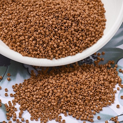 MIYUKI Delica Beads SEED-J020-DB2287-1