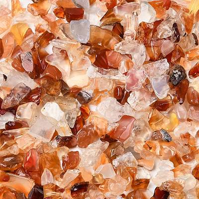 Natural Carnelian Chip Beads G-O103-18-1