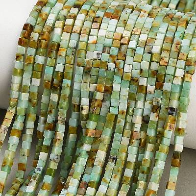 Natural Serpentine Beads Strands GG-CBA2498-A07-01-1
