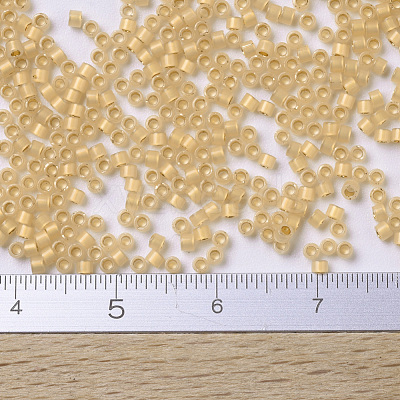 MIYUKI Delica Beads Small SEED-JP0008-DBS0230-1