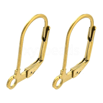 Ion Plating(IP) 304 Stainless Steel Leverback Earring Findings STAS-P360-02B-G-1