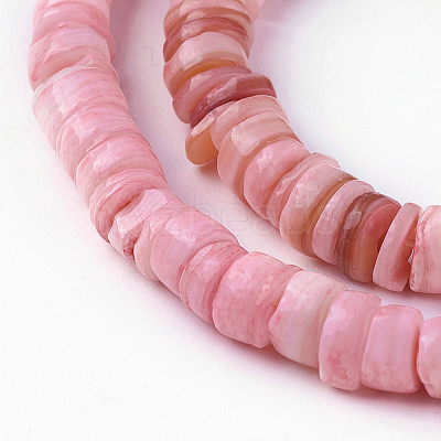 Natural Shell Beads Strands X-SSHEL-E571-49A-1