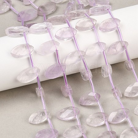 Natural Amethyst Beads Strands G-P607-A05-01-1
