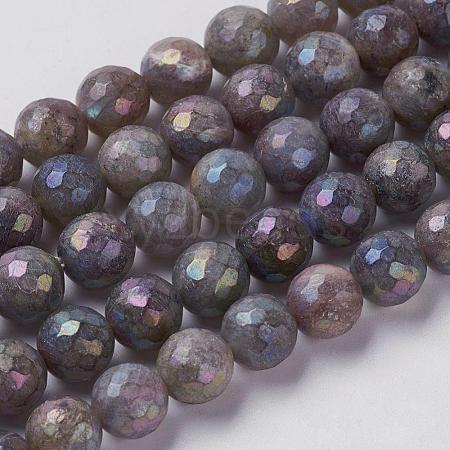 Natural Labradorite Beads Strands G-J376-49-6mm-1