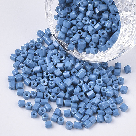 8/0 Two Cut Glass Seed Beads SEED-S033-06A-08-1