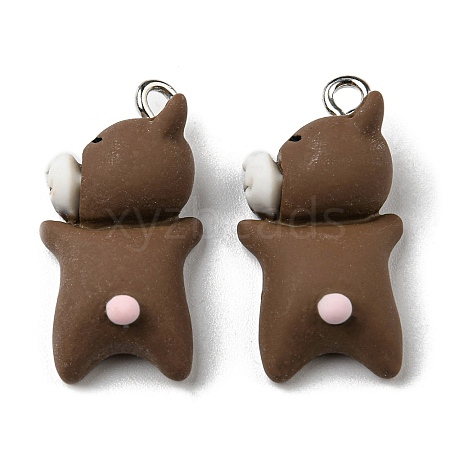 Opaque Resin Cartoon Pendants CRES-B015-05-1