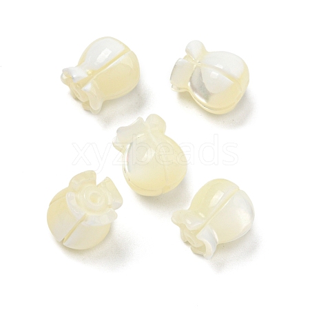 Natural Trochid Shell/Trochus Beads BSHE-NH0001-01-1
