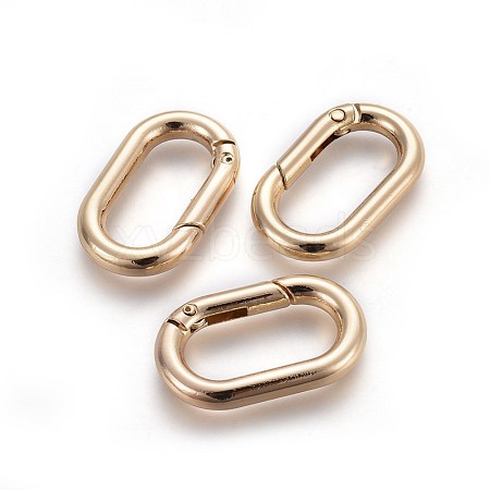 Zinc Alloy Key Clasps PALLOY-WH0056-02LG-1