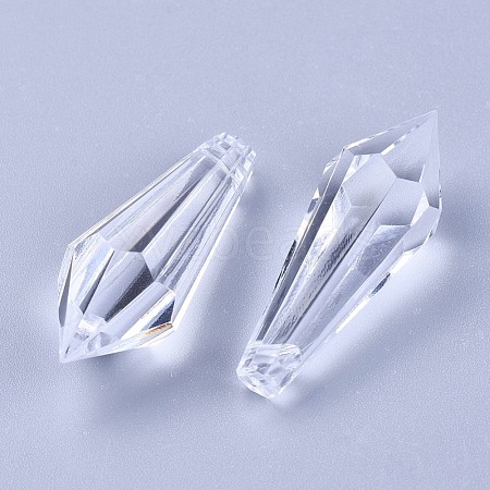 Transparent Acrylic Pendants TACR-WH0002-02-1