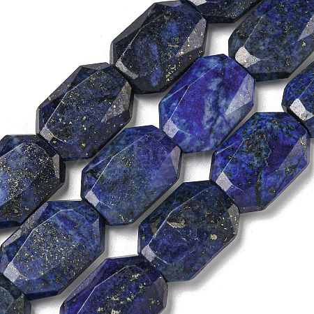 Natural Lapis Lazuli Beads Strands G-P544-B10-01-1