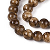 Natural Persian Jade Beads Strands G-A255-A02-04E-4
