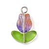 Glass Pendants PALLOY-JF02579-02-3