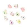Transparent Acrylic Charms PALLOY-JF01603-02-1