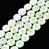 Natural Freshwater Shell Enamel Beads SHEL-N026-194-03B-1