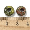 Natural Unakite Beads G-Q173-03A-21-3