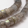 Natural Labradorite Beads Strands G-O144-06-4