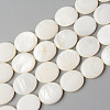 Natural Freshwater Shell Beads Strands X-SHEL-N026-70-1