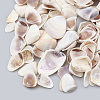 Sea Shell Beads SSHEL-T004-01-1