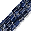 Natural Sodalite Beads Strands G-M403-B34-03-1