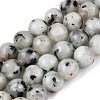 Natural Sesame Jasper/Kiwi Jasper Bead Strands G-R345-6mm-36-2