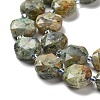 Natural Rhyolite Jasper Beads Strands G-NH0004-011-4