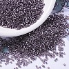 MIYUKI Delica Beads SEED-MY11-DB1205-1