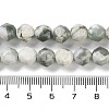 Natural Peace Jade Beads Strands G-NH0021-A08-01-5