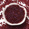 Spray Painted Glass Seed Beads SEED-F005-06A-04-2