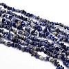 Natural Sodalite Chips Beads Strands G-O049-A-08-1