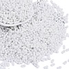 Baking Paint Glass Seed Beads X1-SEED-K010-A03-1