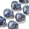 Natural Blue Spot Jasper Beads Strands G-C150-A27-01-2